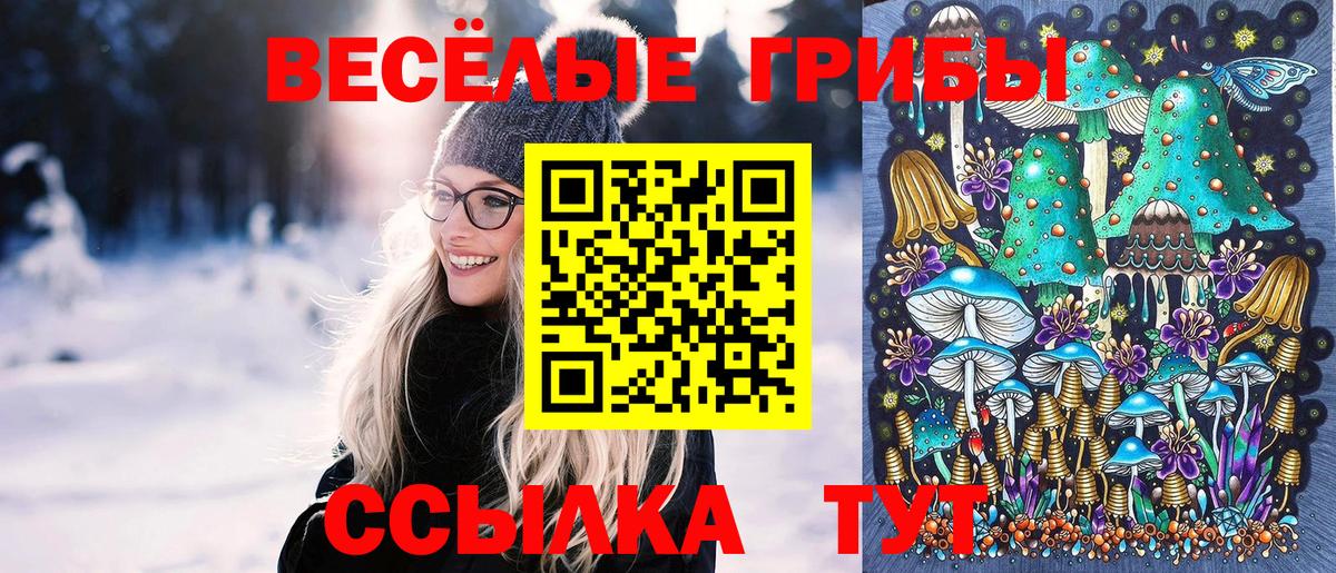 Псилоцибиновые грибы Psilocybine cubensis  Вход с VPN  Щёлково 